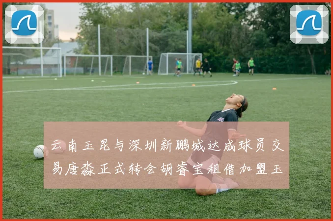 云南玉昆与深圳新鹏城达成球员交易唐淼正式转会胡睿宝租借加盟玉昆