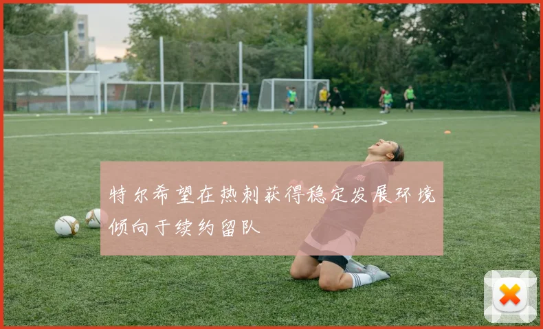 特尔希望在热刺获得稳定发展环境倾向于续约留队