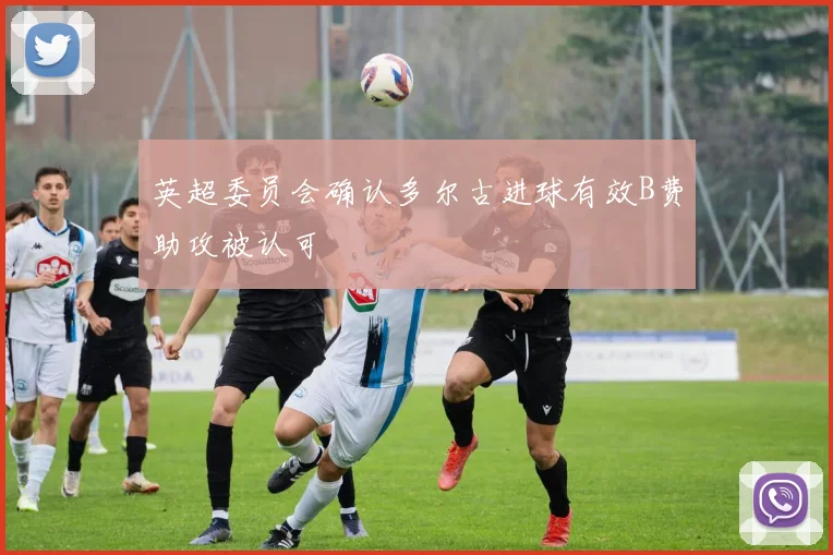 英超委员会确认多尔古进球有效B费助攻被认可